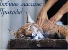 ❣️#ПРОМАССАЖ И ТОЧКА❣️, 8 900 605-23-55